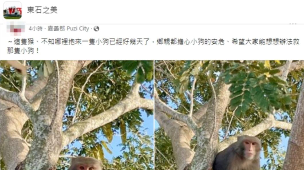 鄉民PO文。(圖/翻攝自東石之美臉書)