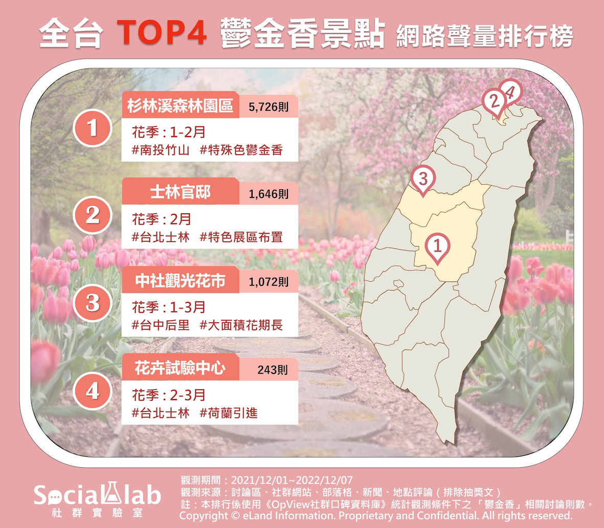 全台超夯賞鬱金香景點。(圖/社群實驗室)