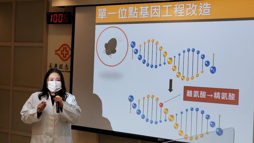 長生不老更進一步 基隆長庚基因改造讓小鼠壽命增10%