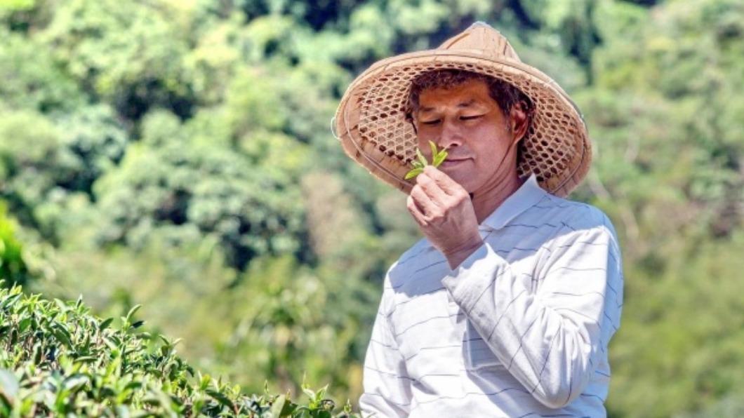 三峽區茶農周玉成。（圖／新北農業局提供）