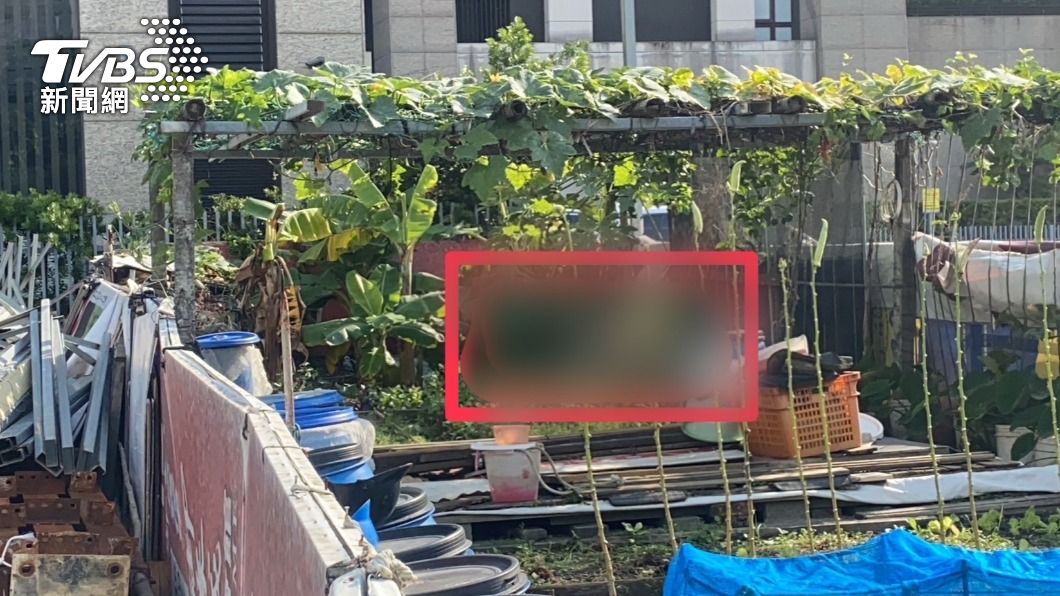 全台急凍!民眾巡視菜園 驚見街友「凍僵」遺體