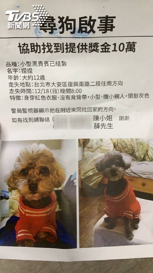 飼主還發出尋狗啟事,懸賞十萬元。(圖/TVBS)