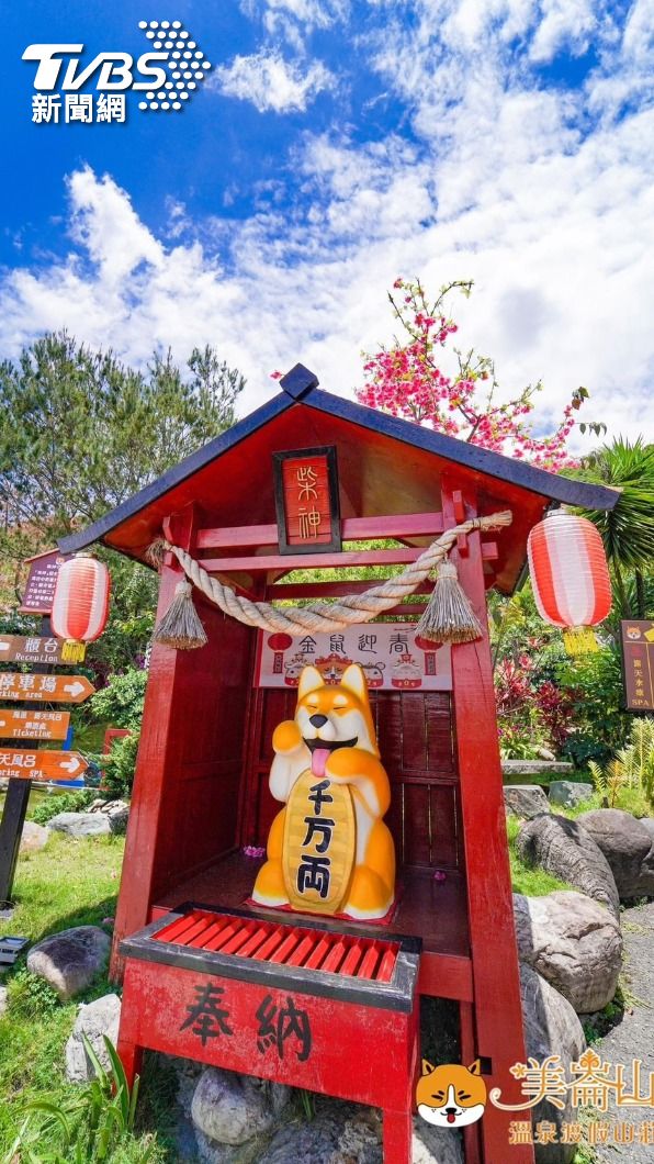 招柴犬重新亮相(美崙山溫泉提供)