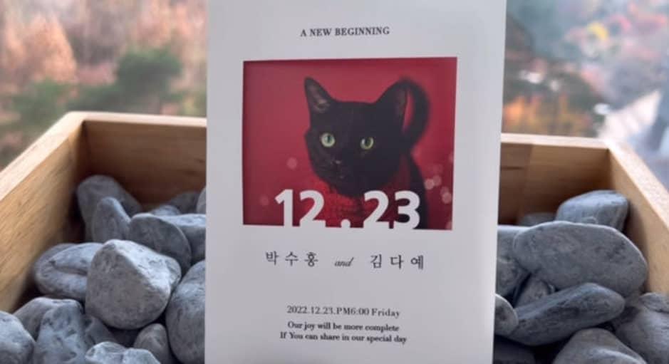 朴修弘曾公布以愛貓為主題的婚宴邀請卡。(圖/翻攝自blackcatdahong IG)