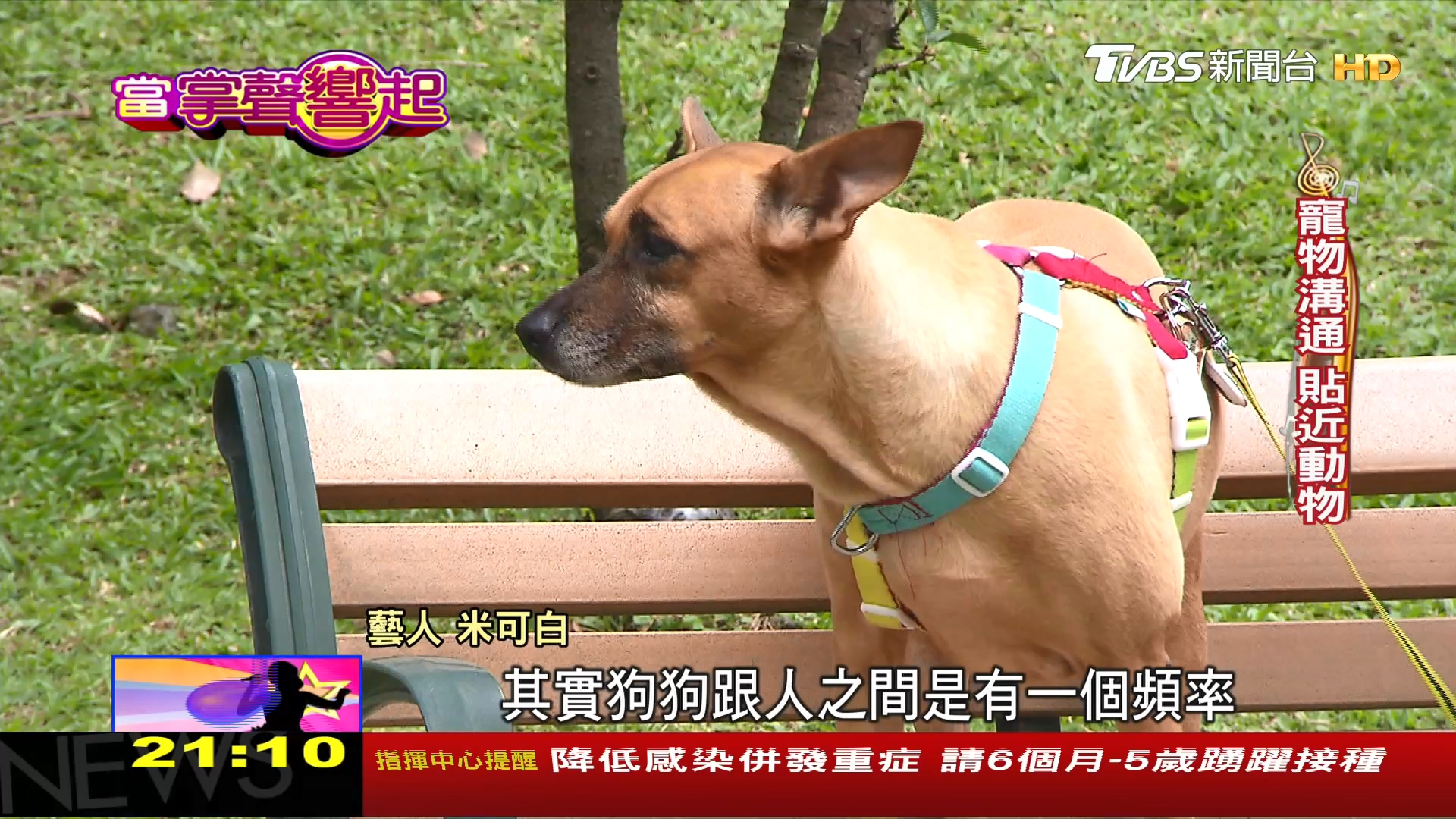 圖／TVBS