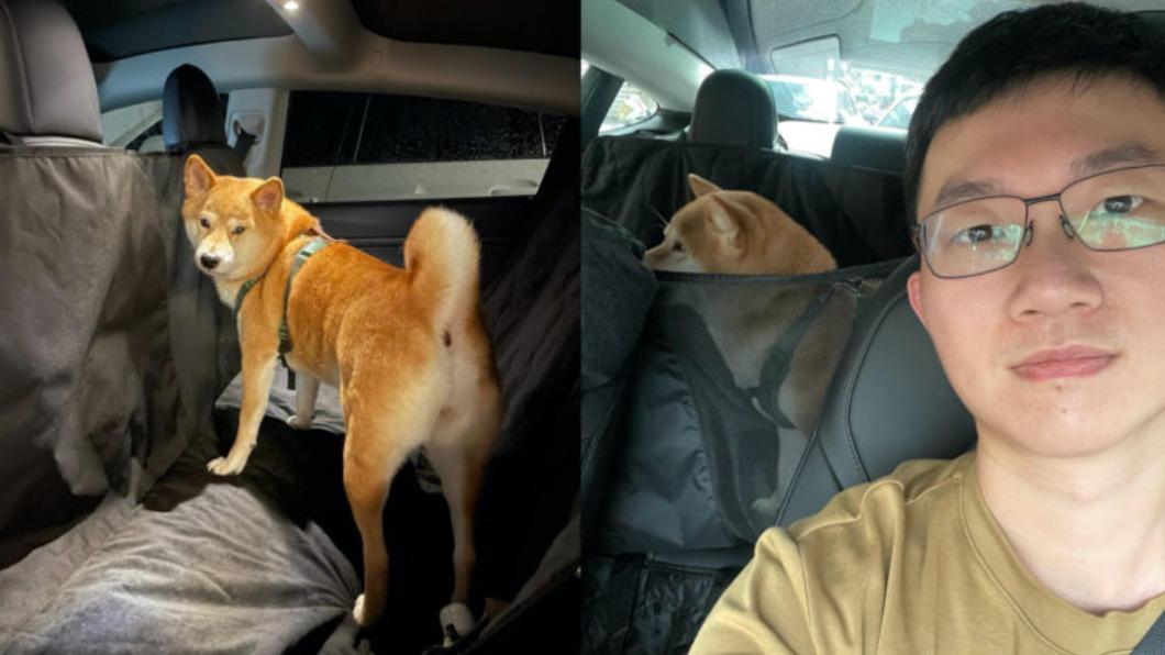 視網膜時常分享愛犬的照片。（圖／翻攝自視網膜臉書）