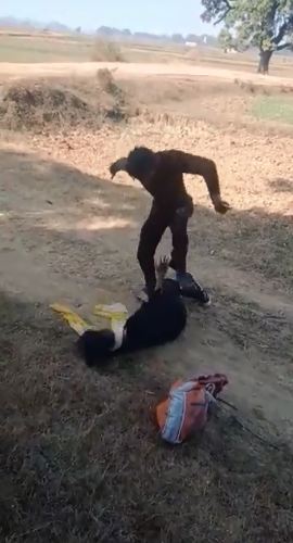 男子將女友一度到打昏迷，所幸其他民眾路過見狀立刻將人送醫急救。（圖／翻攝自推特Naren Mukherjee @NMukherjee6）