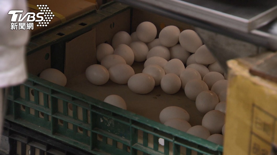 雞蛋成本上漲 民眾黨籲政府扛起穩定蛋價責任