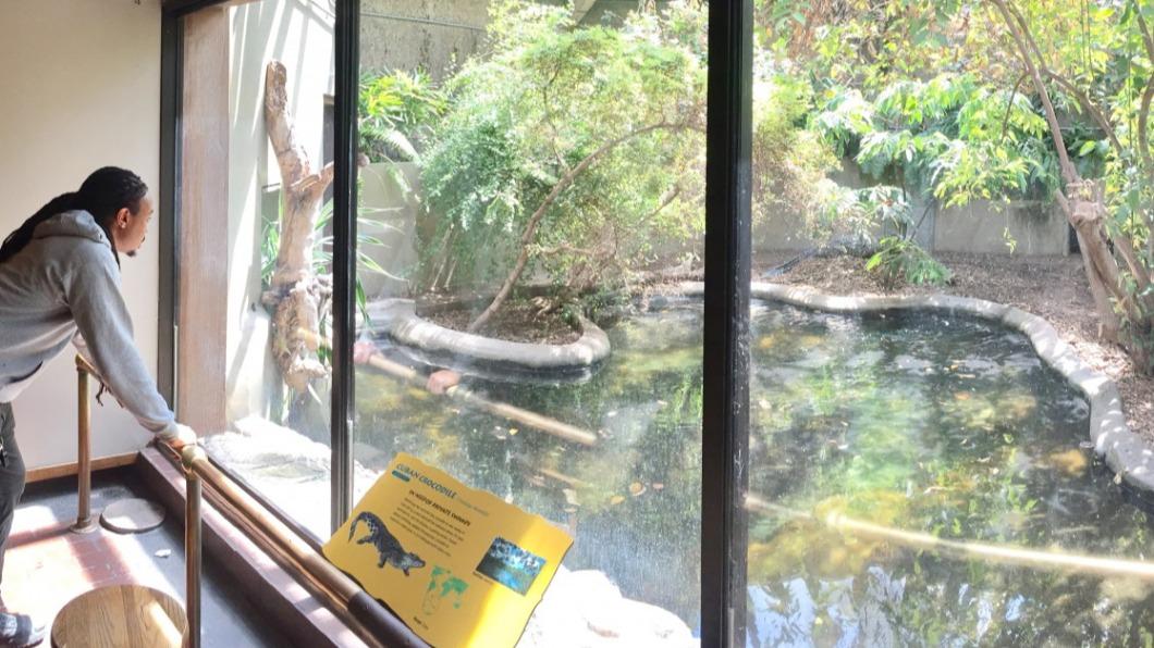 古巴鱷居住的爬蟲類展館。(圖/翻攝自史密森尼國家動物園官網)