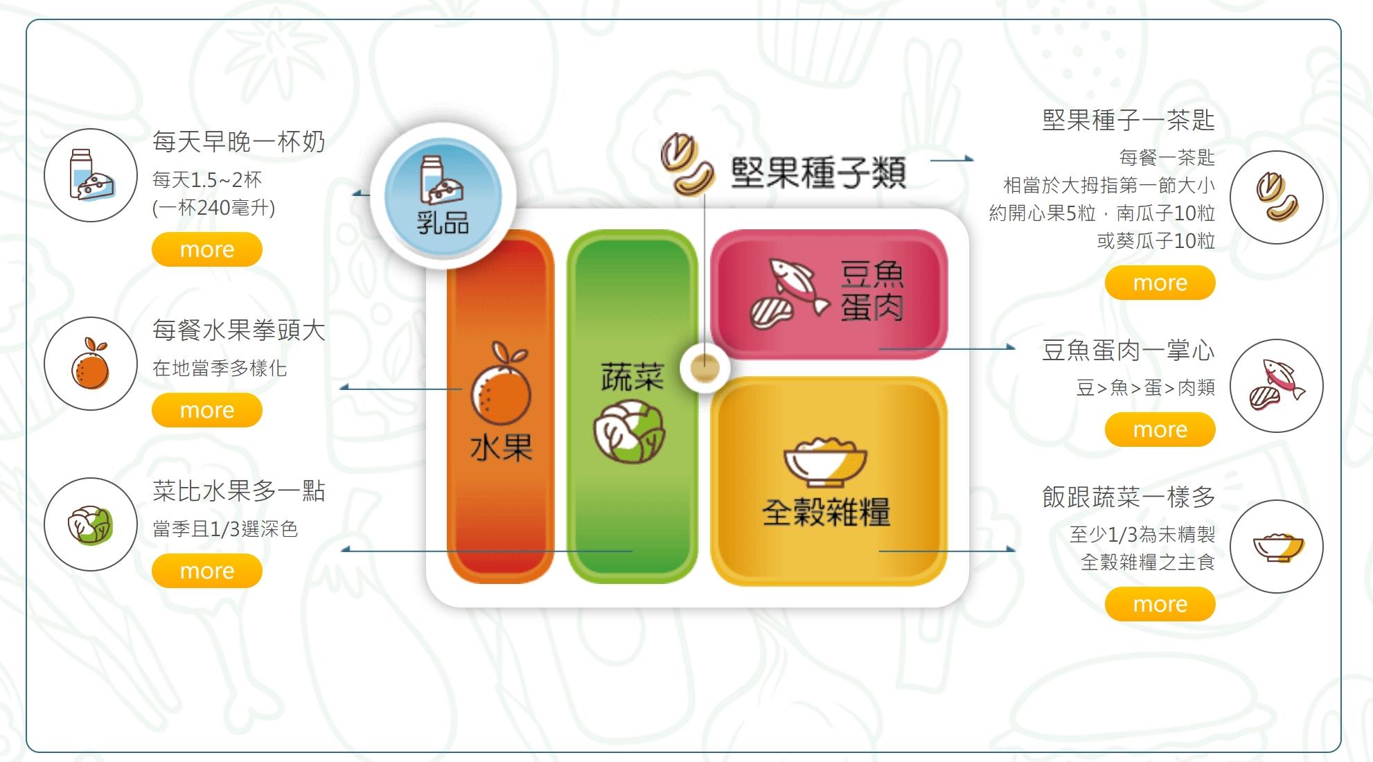 國健署現在推行的我的餐盤。(圖/翻攝國健署網站)