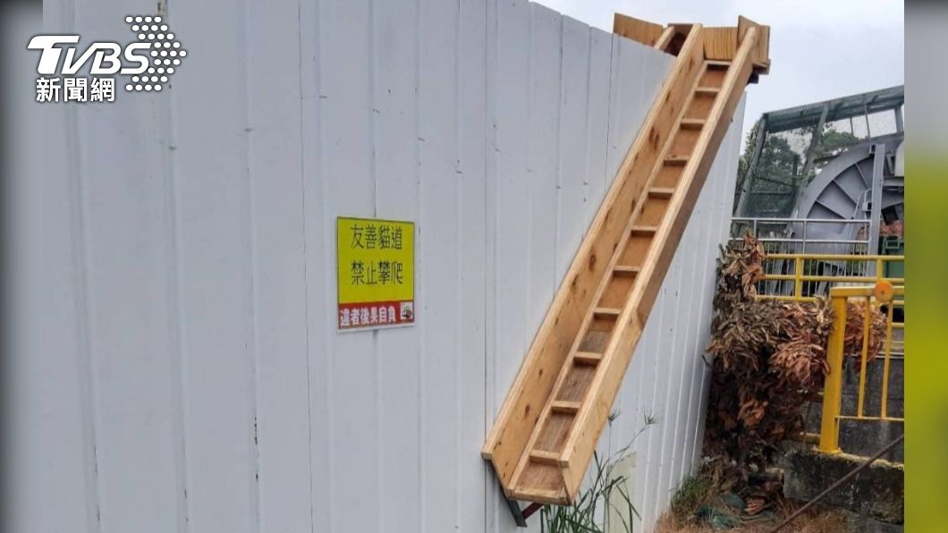 塭仔圳施工圍籬 設專用貓道  網讚:文明城市