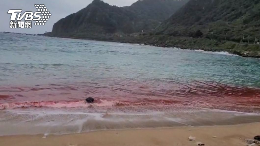 當地人嚇壞！基隆沙灘驚見「血紅色海水」　元凶抓到了