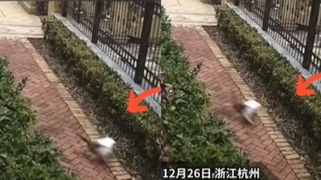 外送放門口被偷!她怒調監視器揪兇手 身份曝光心軟了
