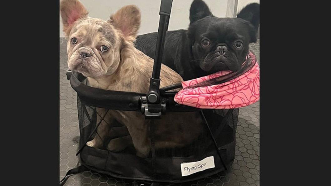 Flying Spur不屬於賓利? 竟被對手註冊在這產品