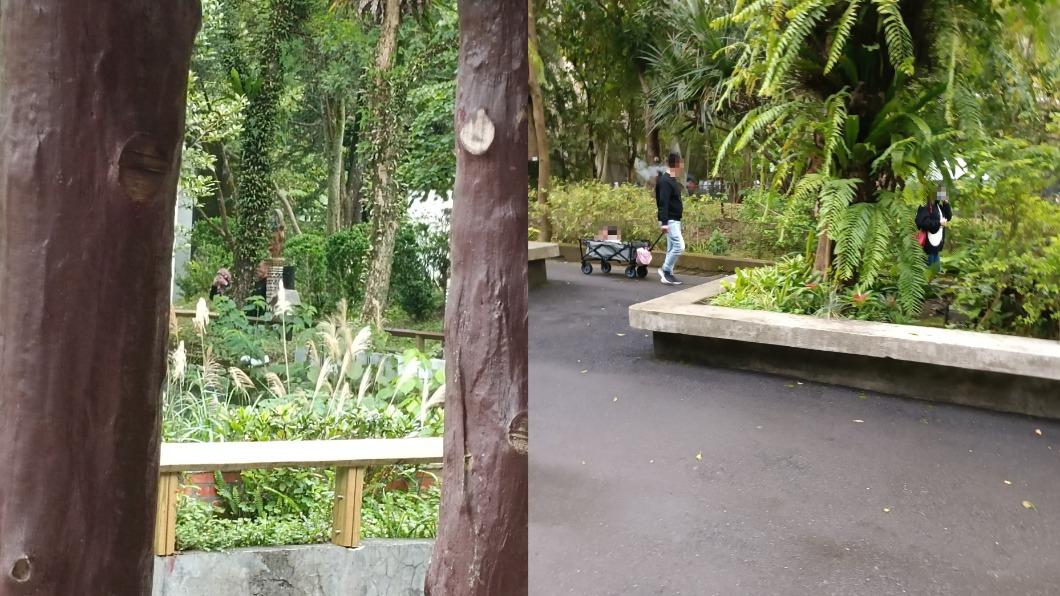動物園扔零食餵鬣狗!她勸阻反遭嗆 網全怒了:超沒水準
