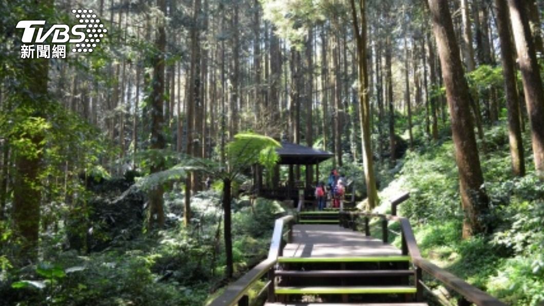 嘉縣邀元旦阿里山看日出　遊奮起湖賞美景