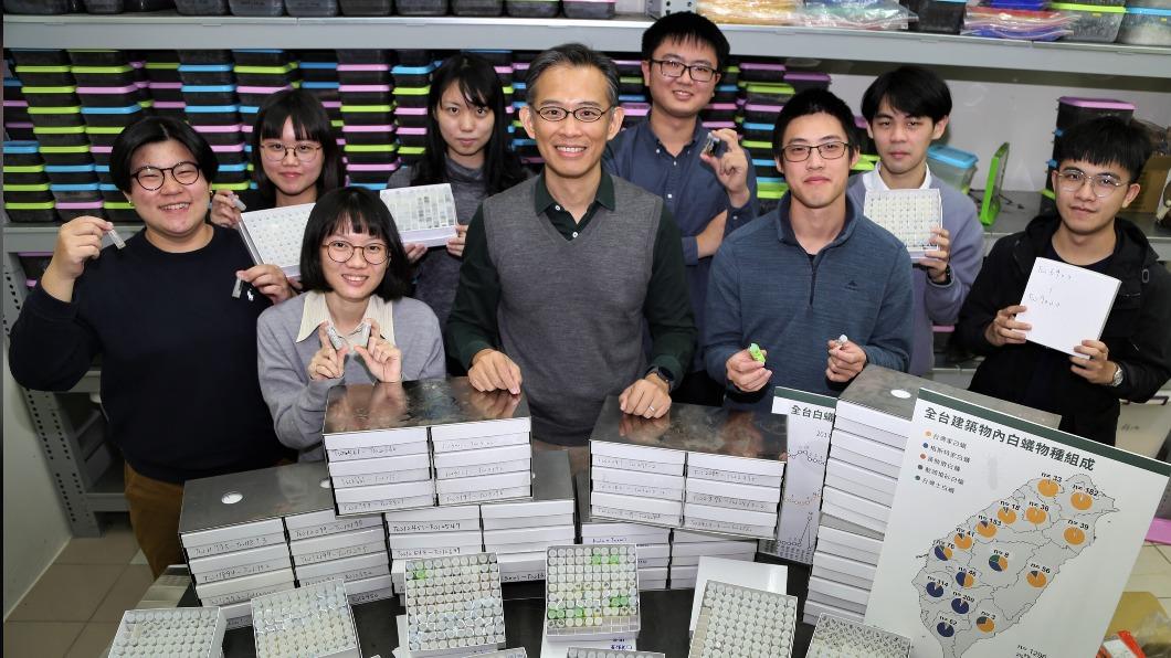 興大研究團隊針對白蟻品種做分析。（圖／中興大學提供）