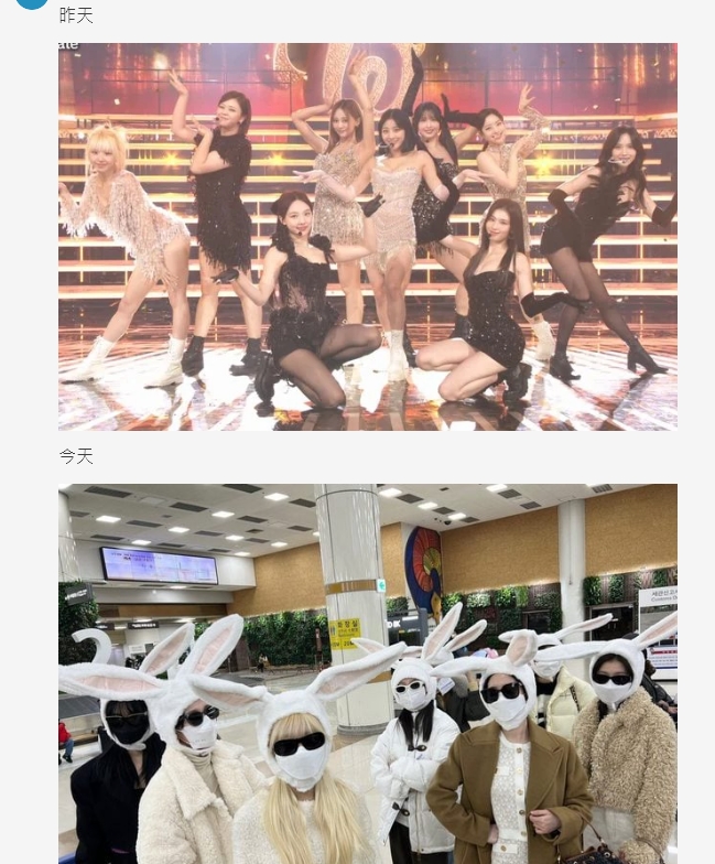 有網友拿TWICE在紅白的表演照跟兔子照做對比。(圖/翻攝自Dcard)