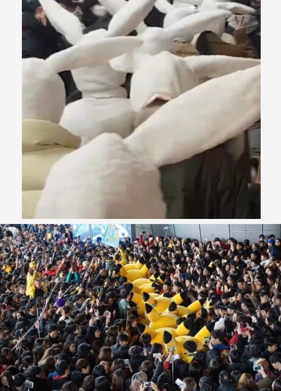 有網友拿TWICE的兔子照跟皮卡丘做對比。(圖/翻攝自Dcard)