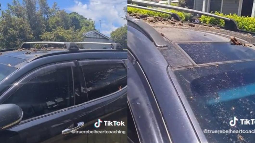 娜塔莉的車輛被潑滿狗屎以及滾沸的燙水。(圖/翻攝自TikTok)