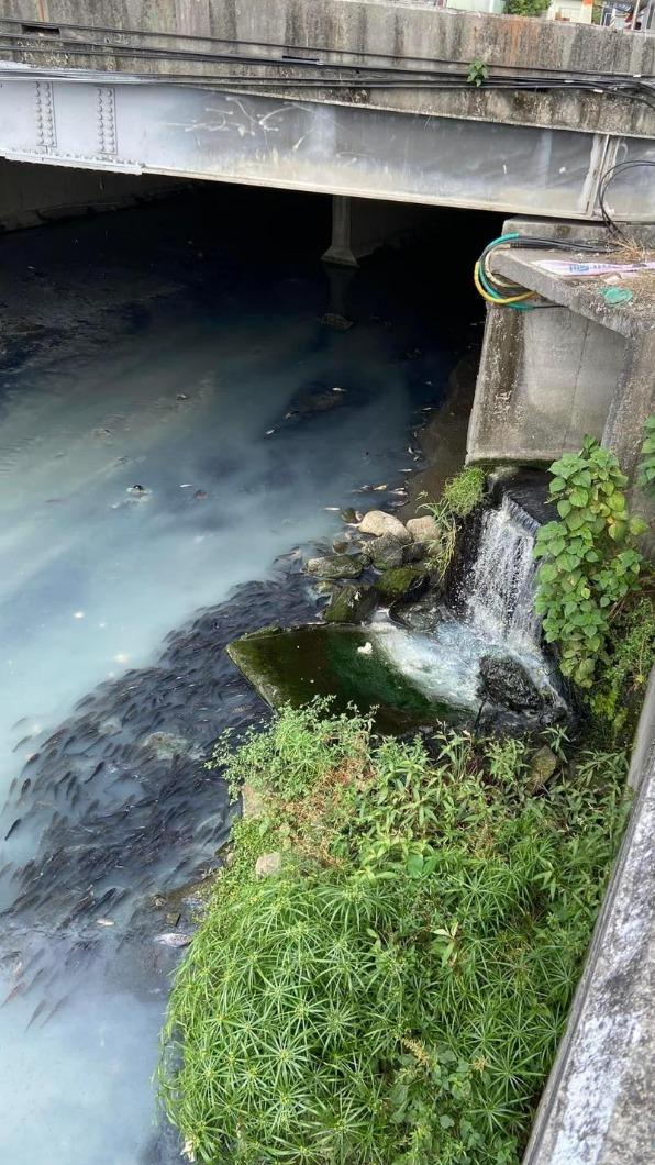 大排廢水。（圖／民眾提供）