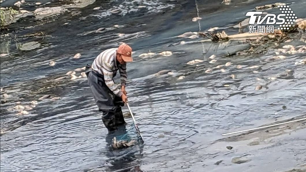 水利局人員撈魚屍。（圖／屏東縣環保局提供）