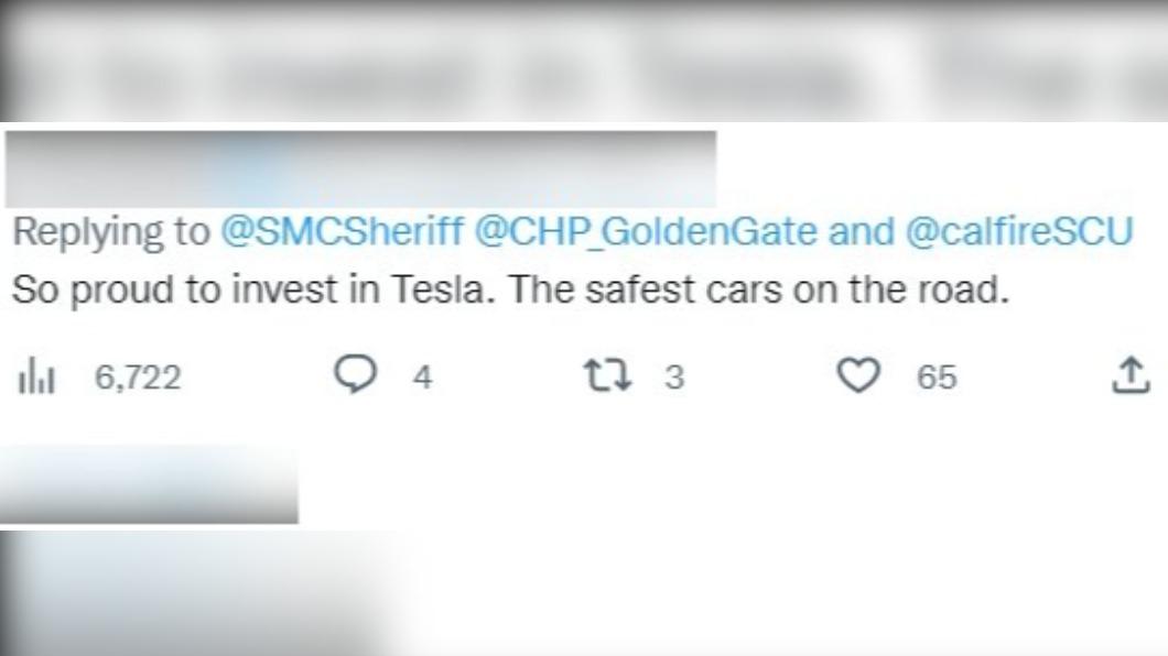 特斯拉股民驕傲表示「我投資了世界上最安全的車!」。(圖/翻攝自 推特@dictionaryhill)
