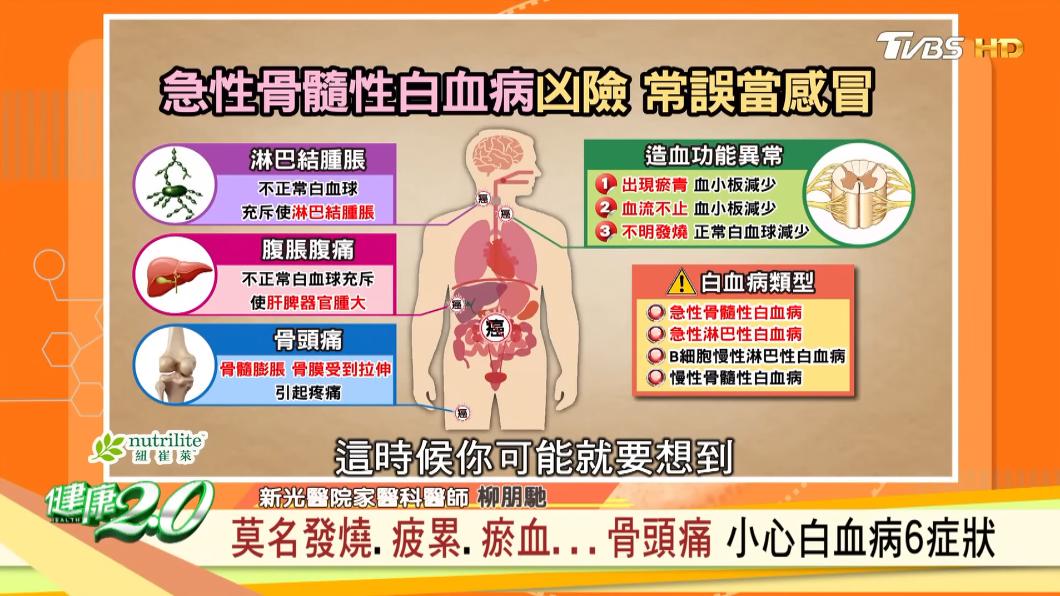 莫名發燒、疲累、瘀血等,小心是白血病。(圖/TVBS《健康2.0》)