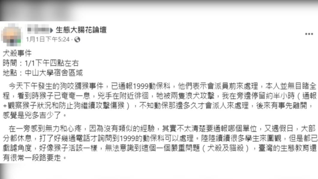 網友發現被流浪狗撕咬後的獼猴。(圖/翻攝自生態大腸花論壇臉書)
