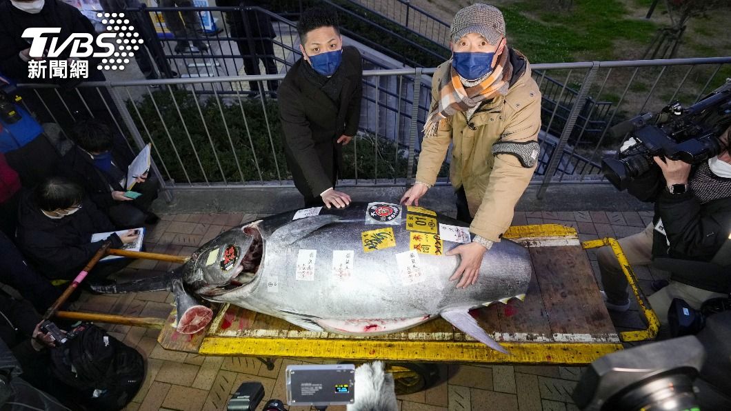 東京豐洲市場新春首拍 212公斤黑鮪魚喊到800萬