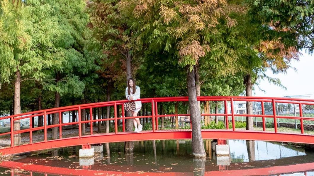 落羽松樹林的深處，還有1座紅色小拱橋。（圖／桃桃’s旅人手札提供）