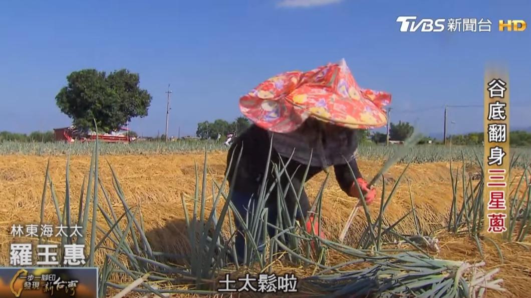 羅玉惠種蔥(圖/TVBS)