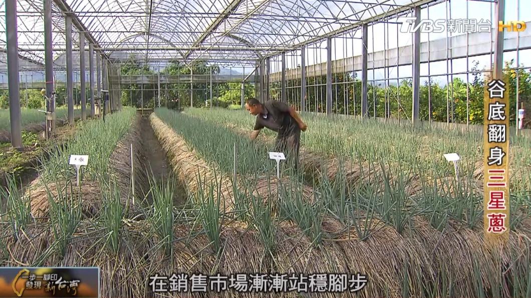 農田主人 林東海(圖/TVBS)