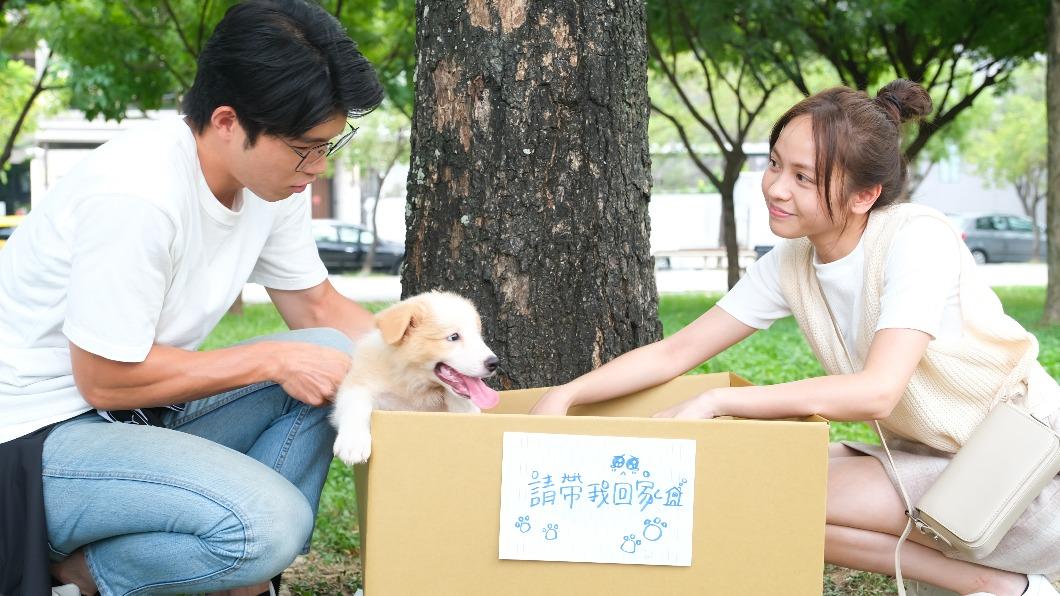 張耀仁(左)、黃姵嘉(右)領養小狗成兩人愛的結晶。(圖/公視台語台提供)