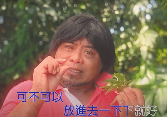 被網友封為2022年神曲。（圖／翻攝自可不可以放進去一下下就好MV）