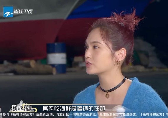 楊丞琳在《還有詩和遠方》中發言。（圖／翻攝自中國浙江衛視YouTube）