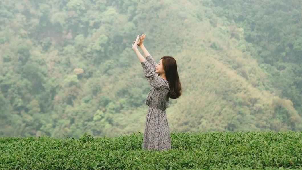 一望無際的「八卦茶園」有種神祕感。(圖/IG@haixing0527提供)