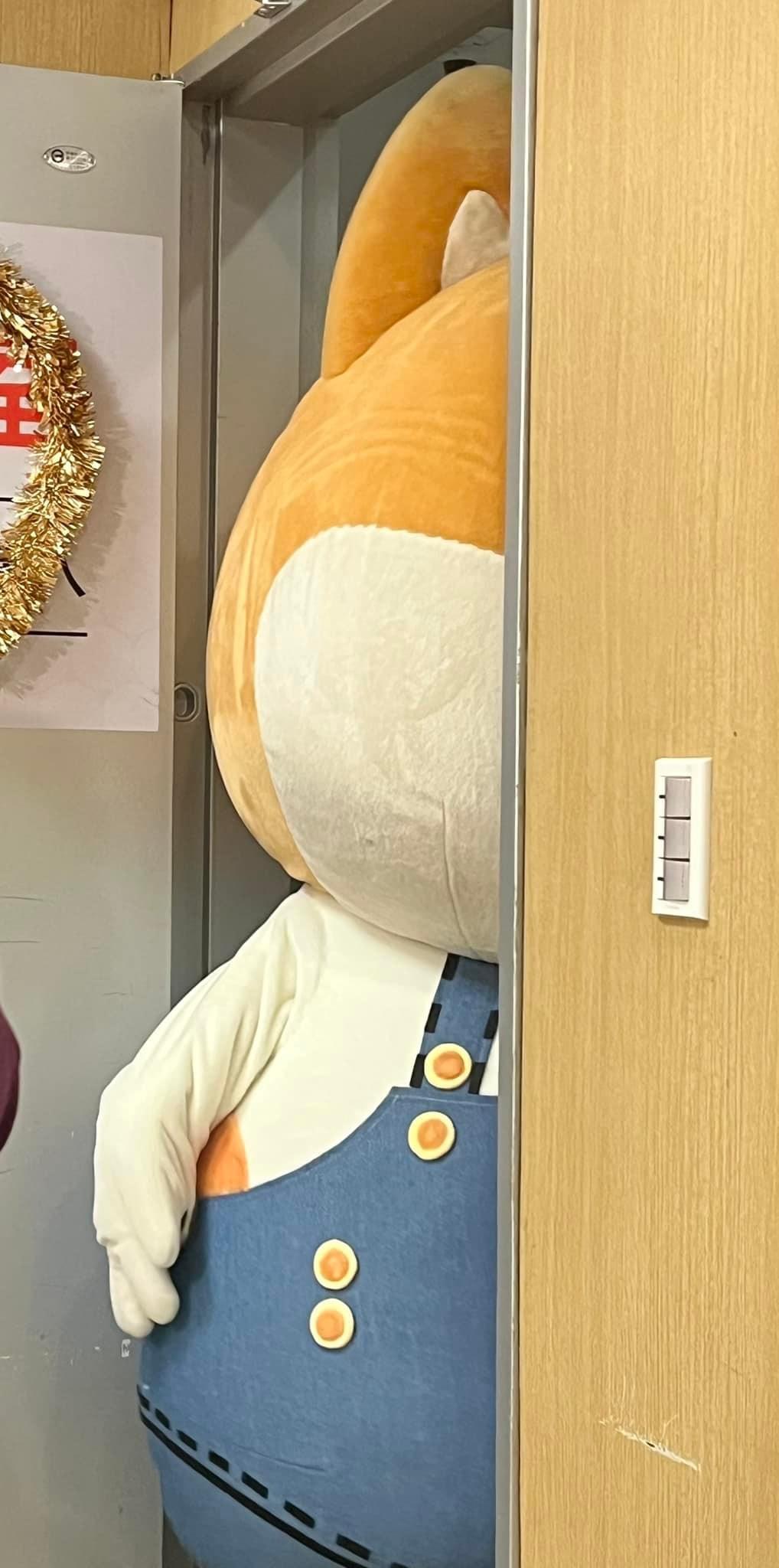 廢柴因頭太大進不去梳化間。（圖／民視提供）