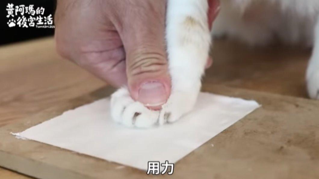 片中阿瑪蓋腳印畫面。(圖/黃阿瑪的後宮生活 YouTube頻道)