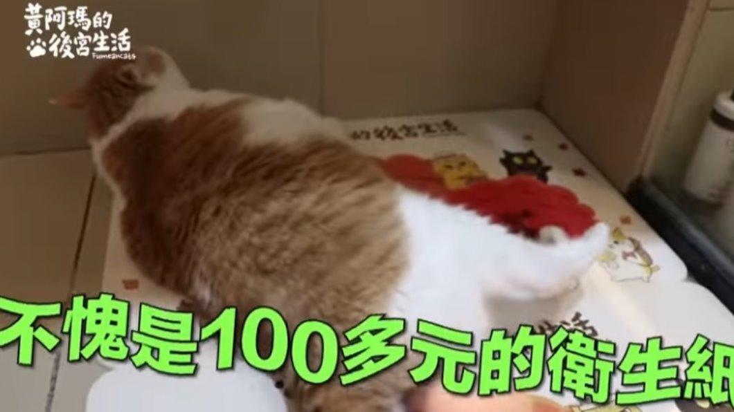 片中阿瑪享受服務的陶醉模樣。(圖/黃阿瑪的後宮生活 YouTube頻道)