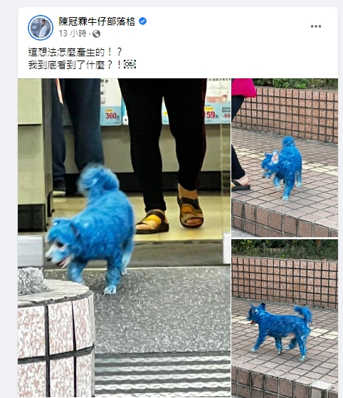 八點檔男星陳冠霖路上驚見阿凡達狗。(圖/翻攝陳冠霖臉書)