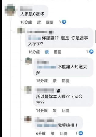 「輔大陳若儀」疑現身番外篇2留言區,但文章遭刪除。(圖/翻攝自匿名2公社臉書)
