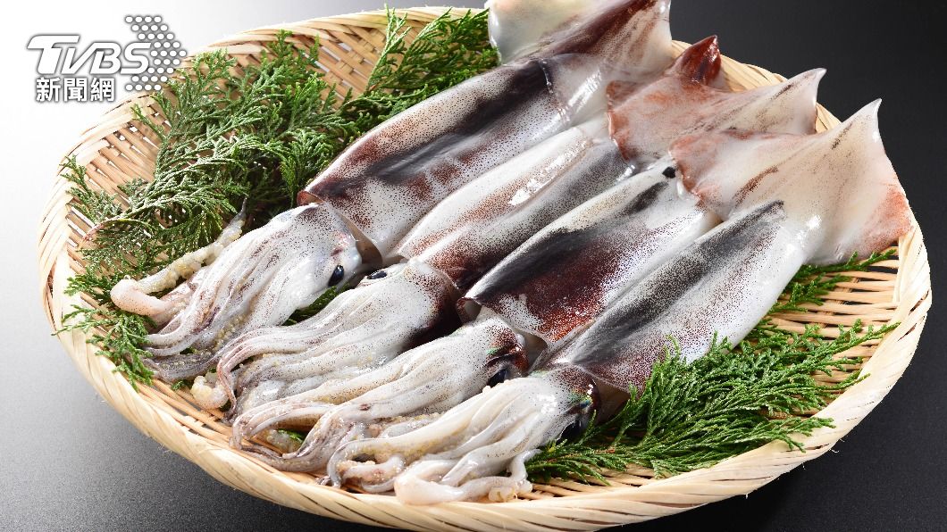 日本飛行烏賊。（示意圖／shutterstock達志影像）
