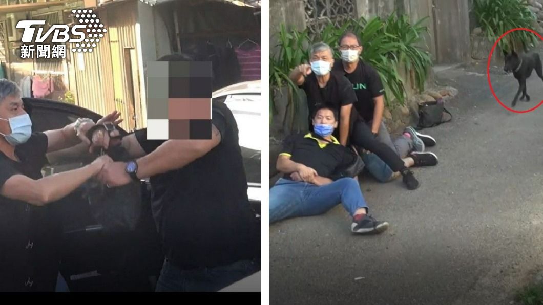 有警犬夢？警柔道壓制通緝壯漢　熱心民犬湊熱鬧朝犯人狂吠