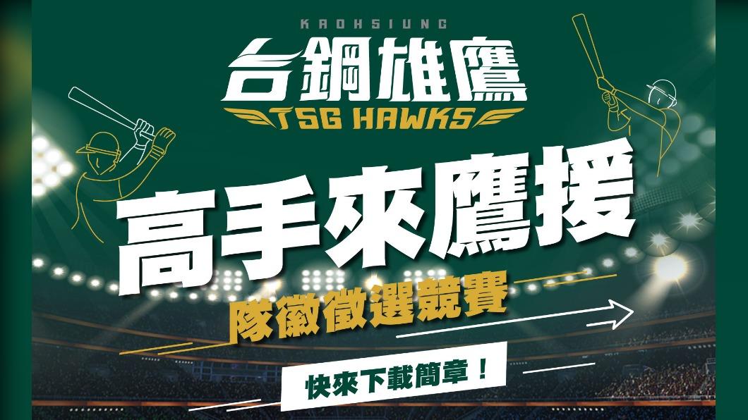 中職/尋找民間高手!台鋼雄鷹隊徽徵選開跑