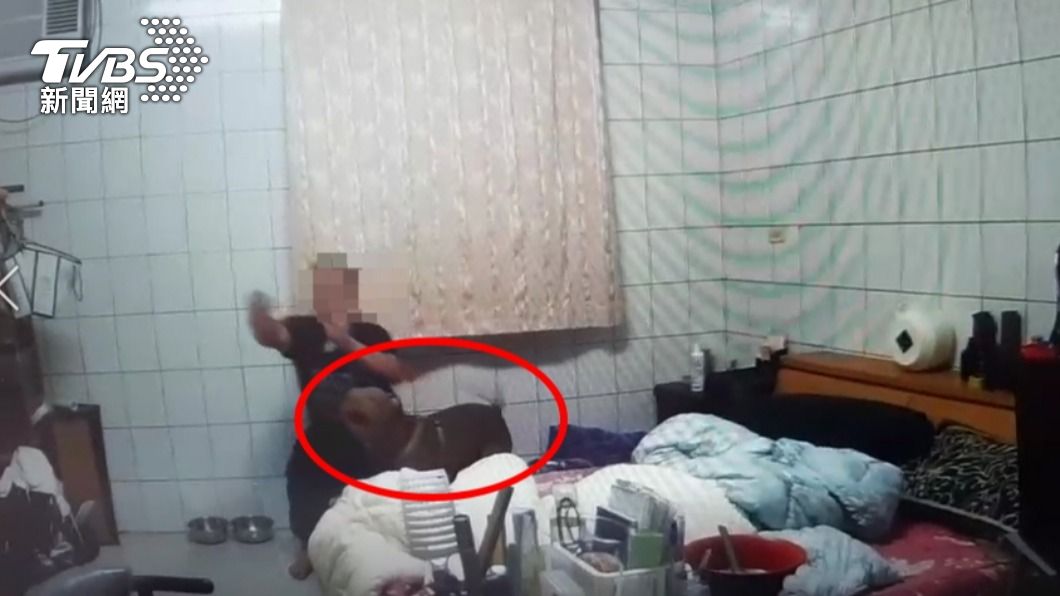 主人被抓比特犬狂吠!毒販突喊:安靜!別動! 攻堅警滿頭問號