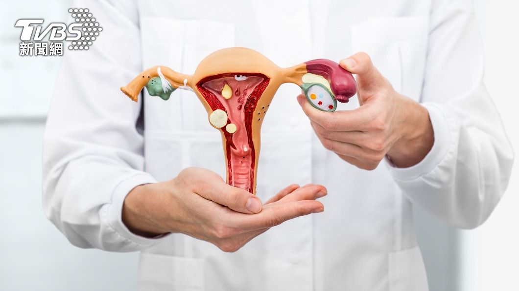 泌尿科醫師認為每天只做6到8次蹲廁不致成傷。(示意圖/shutterstock達志影像)