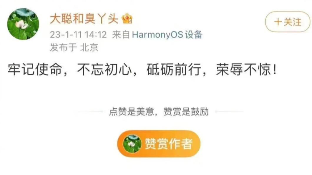 湯天如發文稱趙立堅「榮辱不驚」。(圖/翻攝自 《微博》@大聰和臭ㄚ頭)