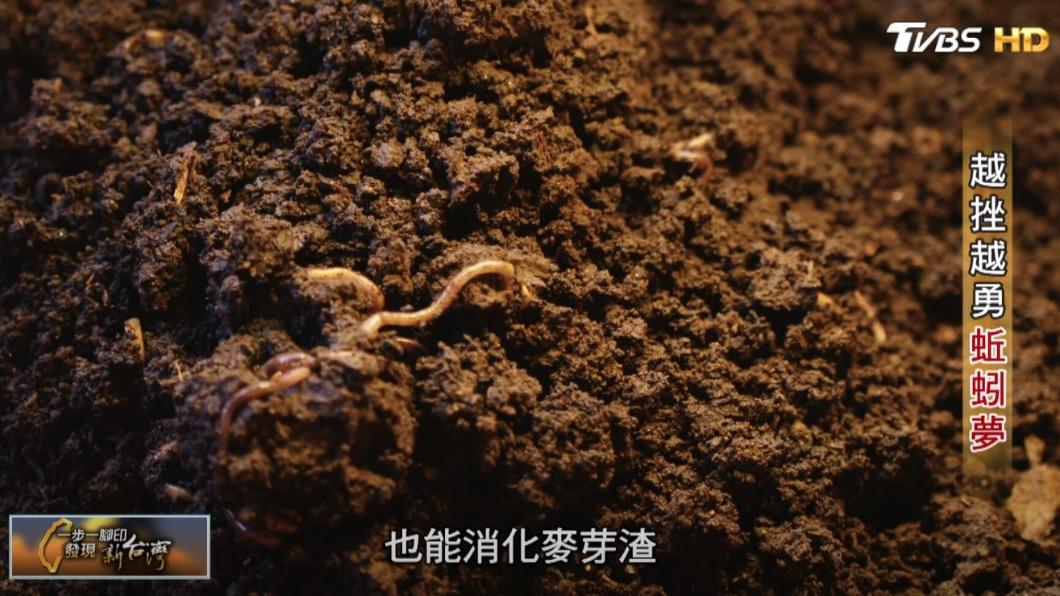 越挫越勇蚯蚓夢（圖／TVBS）