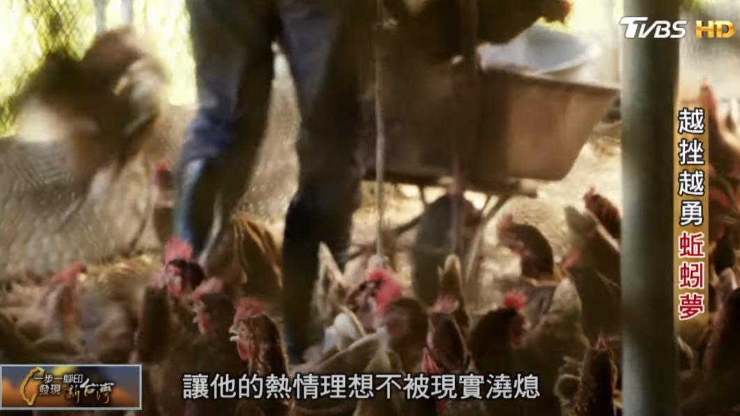 王廷宏農場（圖／TVBS）